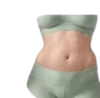 Corpo regular